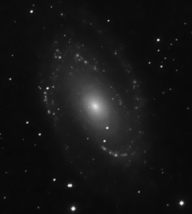 M81 in Hydrogen