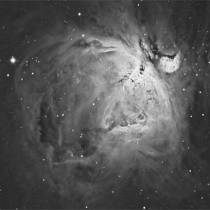 M42